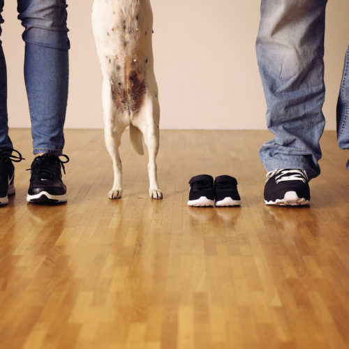 Babybauch Schwangerschaft Maternity Fotoshooting