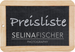 Preise Hochzeitsfotograf Luzern Zürich Basel Bern Aargau