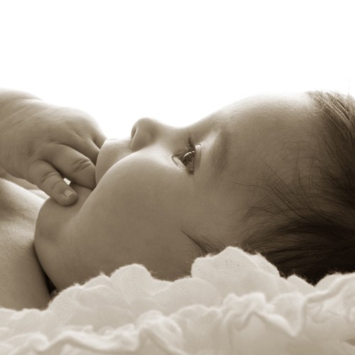 Baby Newborn Fotoshooting Selina Fischer Baby Newborn Fotoshooting Selina Fischer